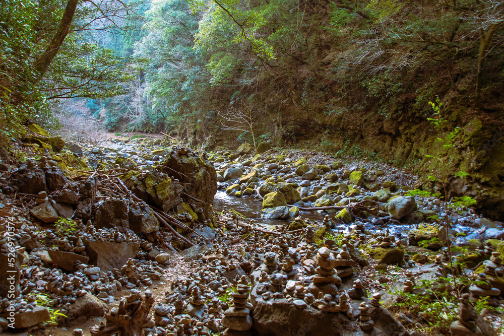 stream in the forest stream in the forest