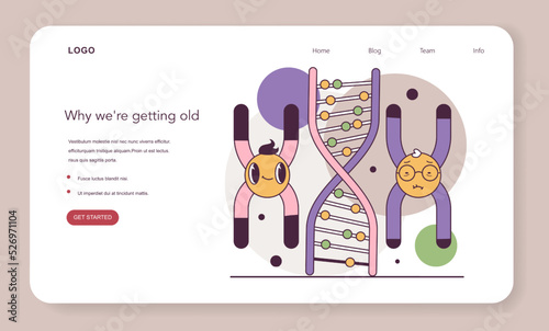 Human telomeres shortening. Cellular level of aging. Time-dependent