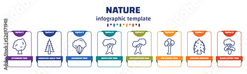 infographic template with icons and 8 options or steps. infographic for nature concept. included sycamore tree, american larch tree, shadbush tree, white oak northern red oak pin cherry eastern