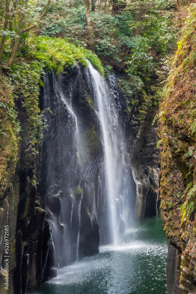 Obraz premium waterfall in the woods