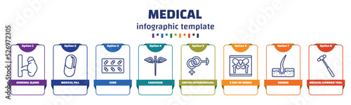 infographic template with icons and 8 options or steps. infographic for medical concept. included adrenal gland, medical pill, cure, caduceus, united heterosexual, x ray of bones, dermis, medical