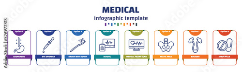 infographic template with icons and 8 options or steps. infographic for medical concept. included esophagus, eye dropper, brush with tooth paste, diagtic, medical heart scan, pelvic area, bladder,