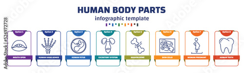 infographic template with icons and 8 options or steps. infographic for human body parts concept. included mouth open, human hand bones, human fetus, excretory system, broken bone, skin cells, woman