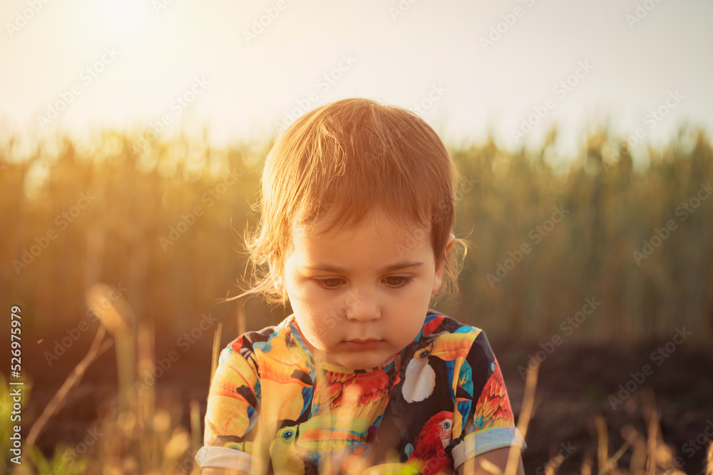 Happy child in nature. Happy childhood in the village. A child in the village, walking in a wheat field. Ukrainian