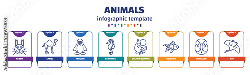 infographic template with icons and 8 options or steps. infographic for animals concept. included rabbit, camel, penguin, seahorse, dolphin jumping, goldfish, deadlock, ray icons.