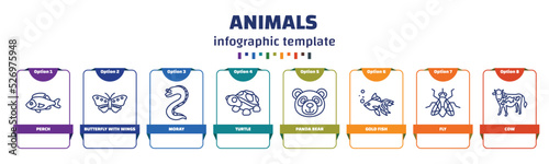 infographic template with icons and 8 options or steps. infographic for animals concept. included perch, butterfly with wings, moray, turtle, panda bear, gold fish, fly, cow icons.