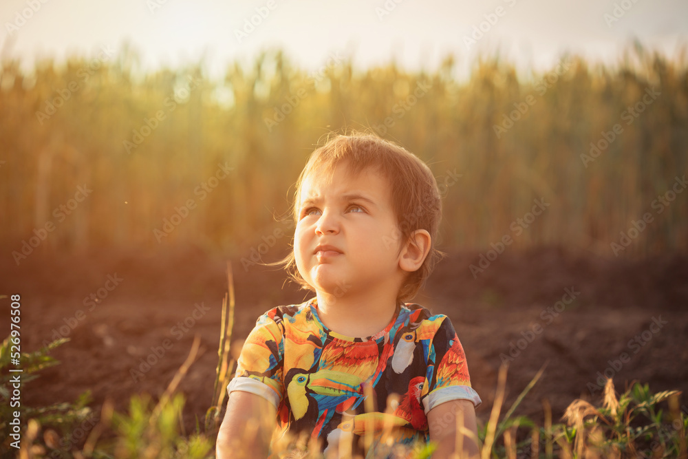 Happy child in nature. Happy childhood in the village. A child in the village, walking in a wheat field. Ukrainian Happy child in nature. Happy childhood in the village. A child in the village, walking in a wheat field. Ukrainian