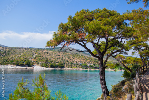 Panoramic view of summer natural beauty, turquoise color of seawater, beautiful and clean Aegean sea. Pine trees. Holiday travel concept. Rocky shoreline. 