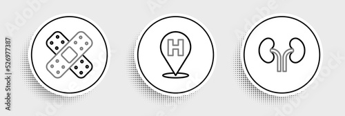 Set line Human kidneys, Crossed bandage plaster and Location hospital icon. Vector