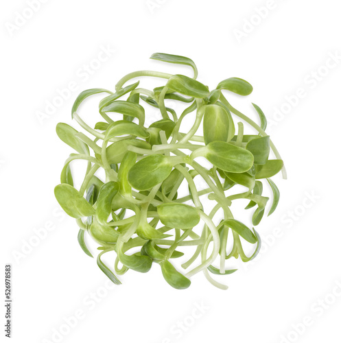 Fresh green young sunflower sprouts isolated on transparent background. (.PNG). Top view