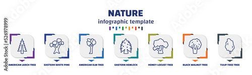 infographic template with icons and 7 options or steps. infographic for nature concept. included american larch tree, eastern white pine tree, american elm tree, eastern hemlock honey-locust black