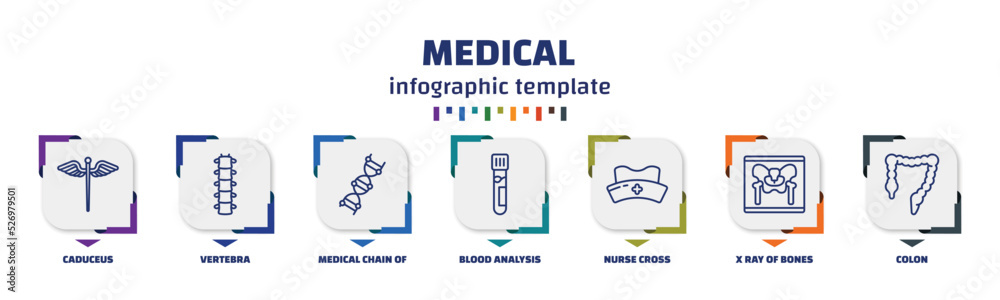 infographic template with icons and 7 options or steps. infographic for ...