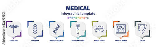infographic template with icons and 7 options or steps. infographic for medical concept. included caduceus, vertebra, medical chain of dna, blood analysis, nurse cross, x ray of bones, colon icons.
