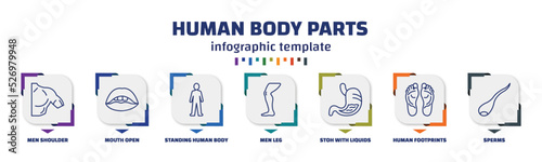 infographic template with icons and 7 options or steps. infographic for human body parts concept. included men shoulder, mouth open, standing human body, men leg, stoh with liquids, human
