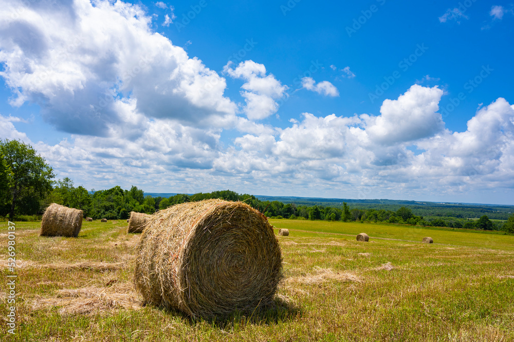 Hay rolls on the farm been harvest with green hill over clouds day and blue sky background. Hay rolls on the farm been harvest with green hill over clouds day and blue sky background.
