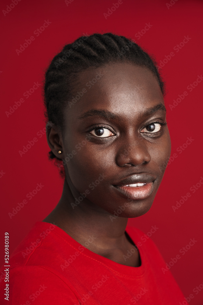 Portrait of young beautiful calm african woman with braided hair Portrait of young beautiful calm african woman with braided hair