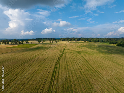Aerial View of  Moravian Landscape  Moravia  Czechia. Europe. 