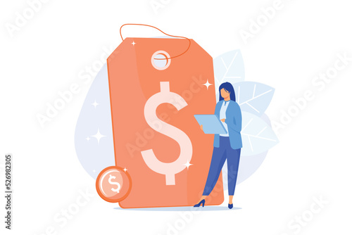 Profitable pricing strategy. Price formation, promo action, clearance shopping idea design element. Cheap products advertisement, customers attraction.