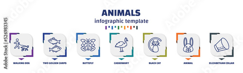 infographic template with icons and 7 options or steps. infographic for animals concept. included walking dog, two golden carps, buttefly, cassowary, black cat, animal, elizabethan collar icons.