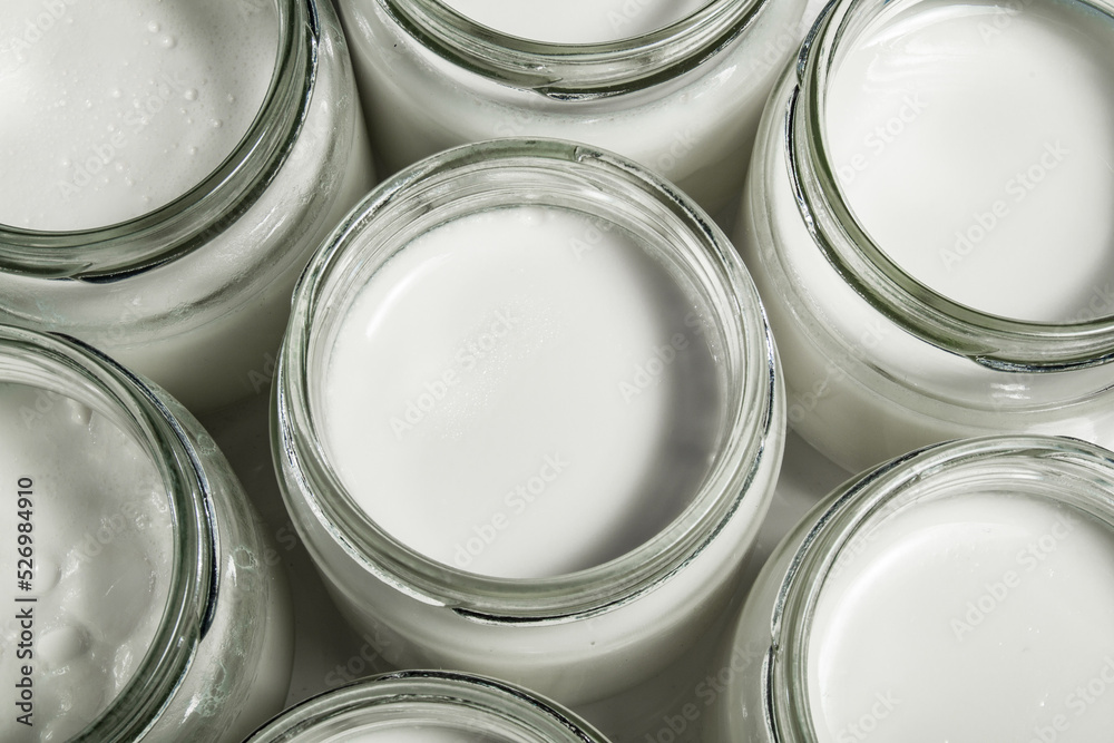 Bio Yogurt homemade_05
