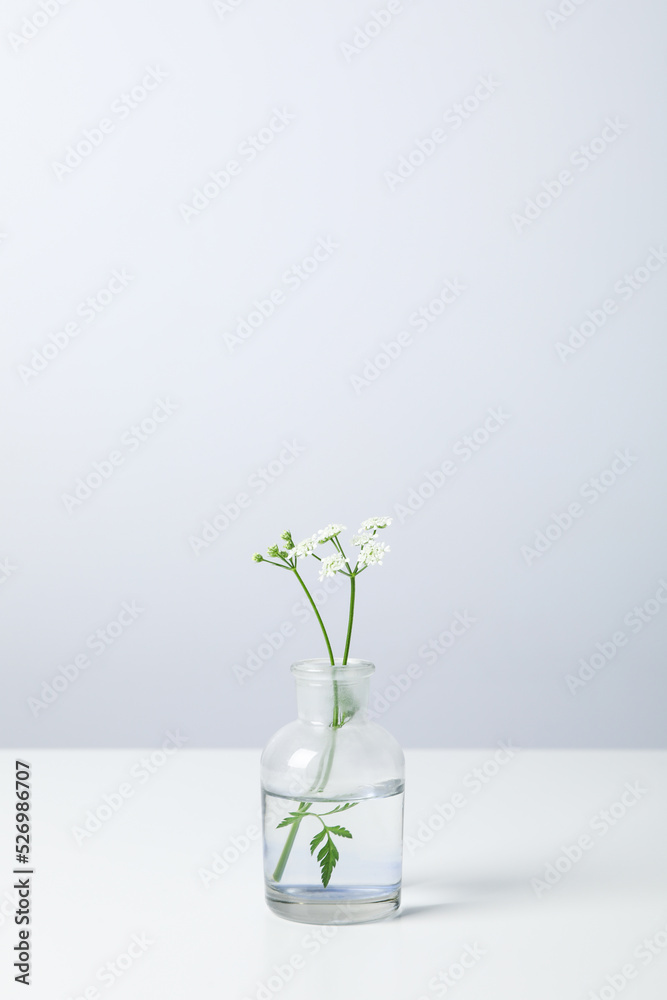 Glass bottle with flowers on white table Glass bottle with flowers on white table