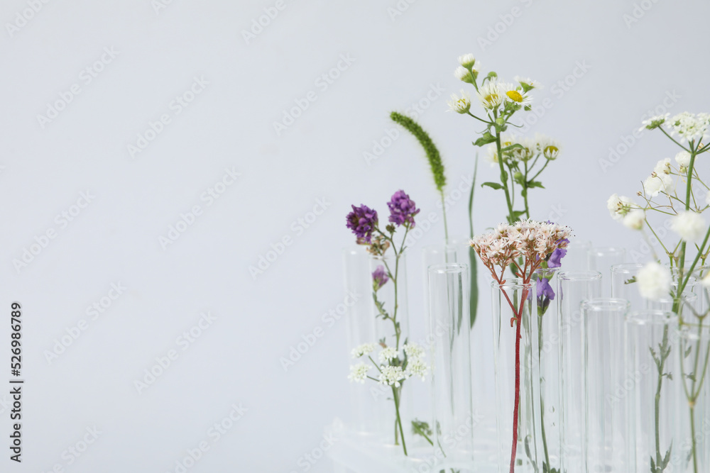 Concept of biology research, space for text Concept of biology research, space for text