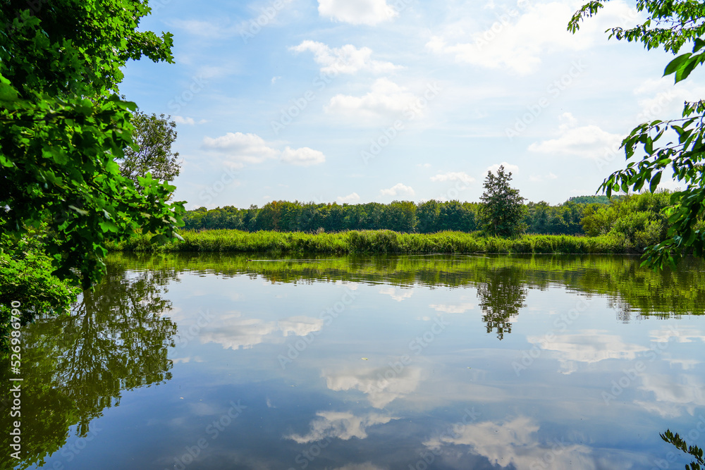 Fototapeta premium Ruhr in the Mühlenstrang nature reserve. Nature by the river in the conservation area near Schwerte. 