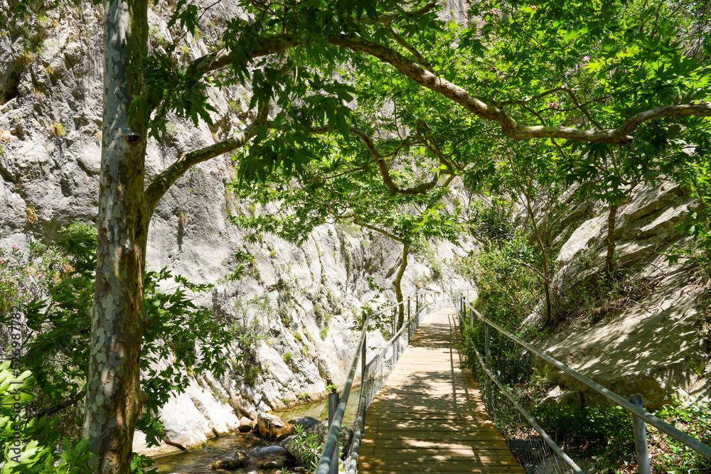 Sapadere Canyon near Alanya. Landscape in Turkey.
Sapadere Canyon near Alanya. Landscape in Turkey.