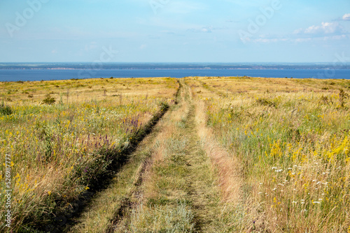Field road. Summer landscape in Russia