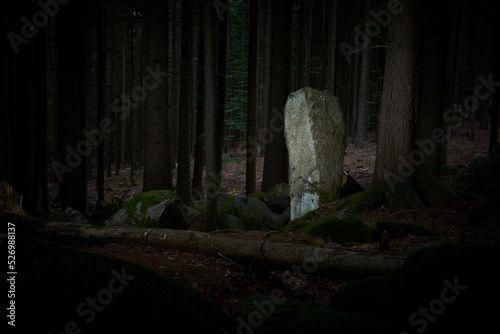 Artistically processed view night photo of ancient menhir hidden in the woods of Javornik mounth, Sumava National Park, Czech Republic. Illuminated by electronic studio flash