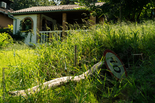 Beauty of rural Serbia - countryside of Bezdan village on Danube river in Gornje Podunavlje national reserve photo