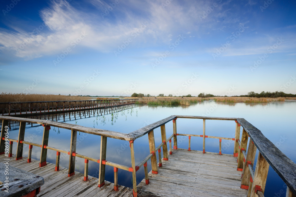 pasarelas al amanecer, parque nacional Tablas de Daimiel, Ciudad Real, Castilla-La Mancha, españa, europa