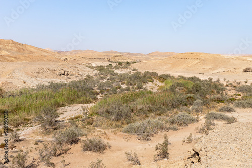 The majestic beauty of the boundless stone Judean desert in southern Israel