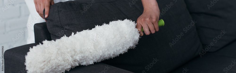 cropped view of housewife cleaning couch with dust brush, banner. cropped view of housewife cleaning couch with dust brush, banner.