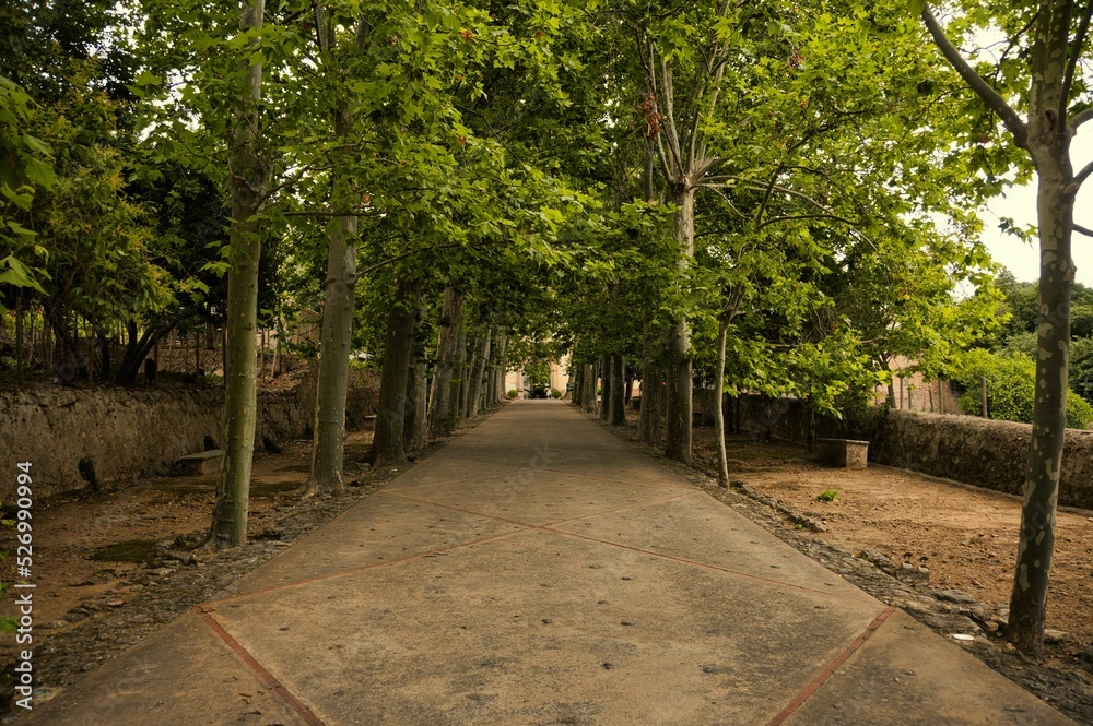 jardines de alfabia en mallorca