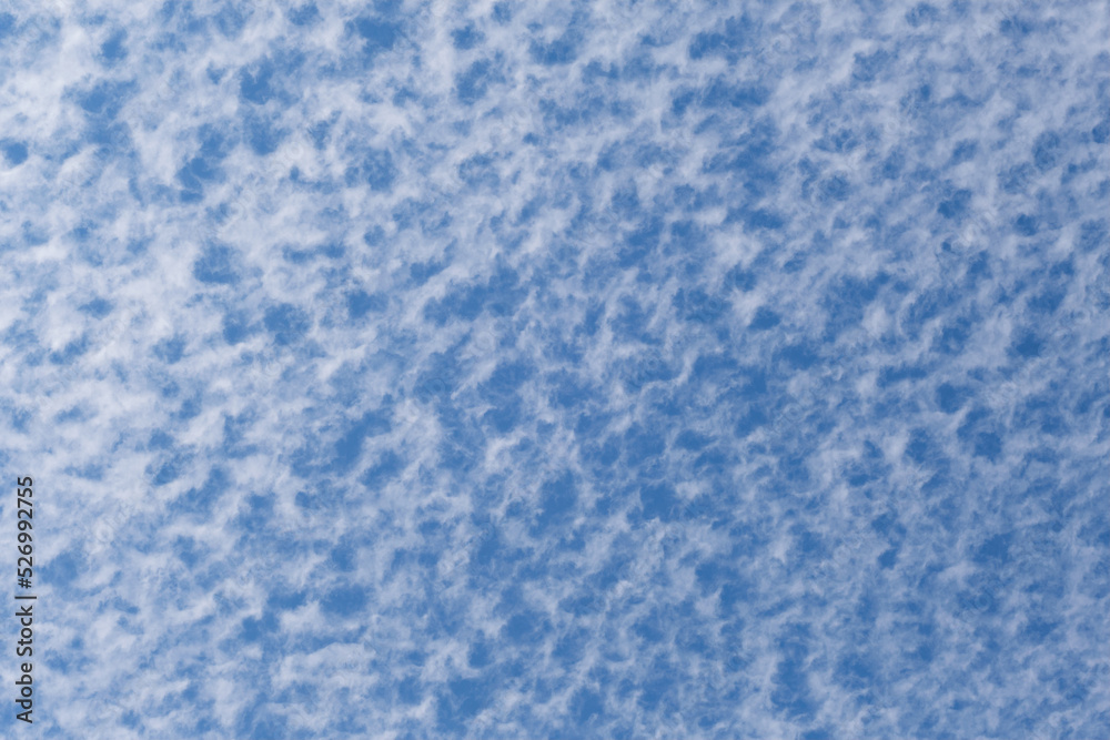 Obraz premium 大空に広がる柔らかな雲