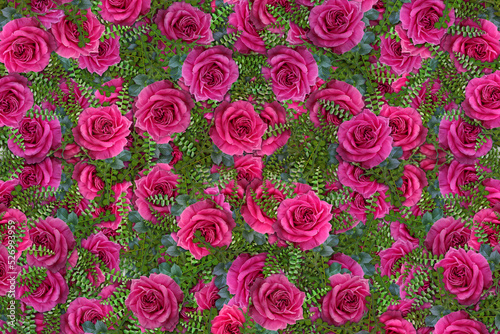 Flowers Background, Flowers Picture