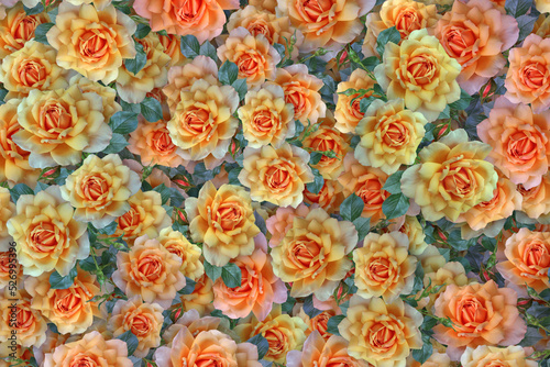 Flowers Background, Flowers Picture