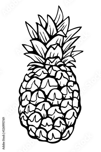 Beautiful pineapple ink drawing, hand drawn and vectorized. Ripe pineapple with leaves, coloring page, uncolored tropical fruit