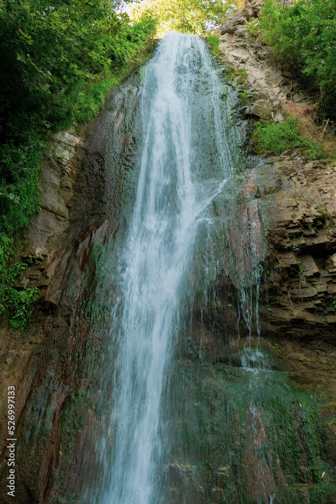 Fototapeta premium waterfall in the forest