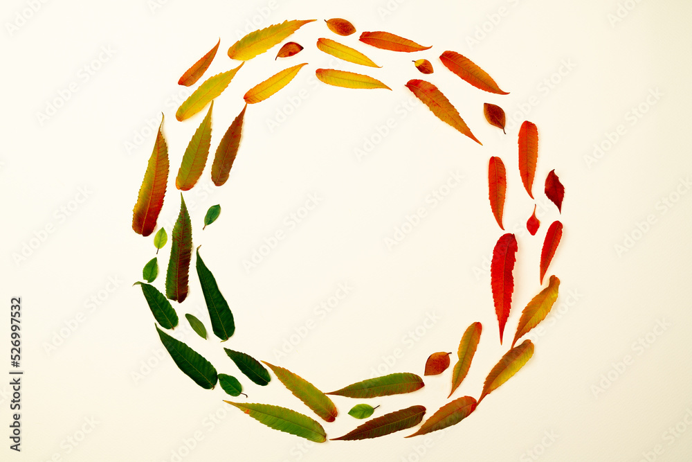 Round frame of different colorful leaves on white background. Design template for logo, invitation, greetings. Laconic stylish minimalist deciduous border wreath. Layout thematic card with autumn mood
