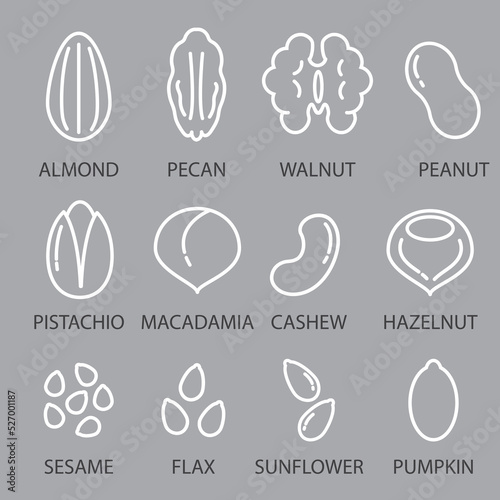 Nuts, seeds and beans icon set. Included icons as almond, walnut, sesame, roasted, hazelnut, cashew, sunflower seed, pumpkin seed, flax, macadamia.