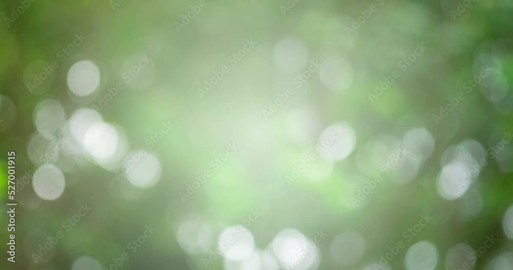 Abstract background green bokeh blue background 4K Apple ProRes 4:2:2 HQ