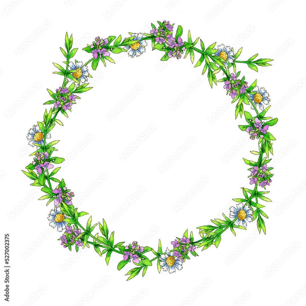 round frame of watercolor thyme flowers on a white background. round frame of watercolor thyme flowers on a white background.