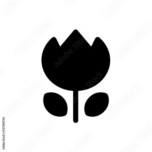 macro glyph icon