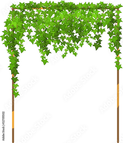 Green vine, creeper or ivy hanging from above or climbing the wall.Decorative column for garden or home.Template on white background.