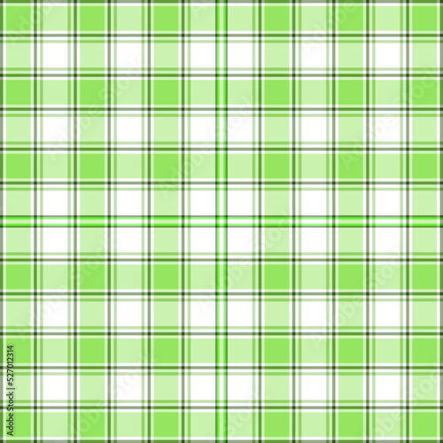 Green Gingham, Rhombus, Buffalo Lumberjack, bavarian plaid tartan line pattern. Vector flannel,  
Flanel Luxury scottish cage style check weaving hlbt lgbt lhbt or farmer.