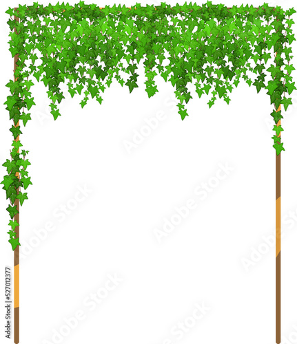Green vine, creeper or ivy hanging from above or climbing the wall.Decorative column for garden or home.Template on white background.