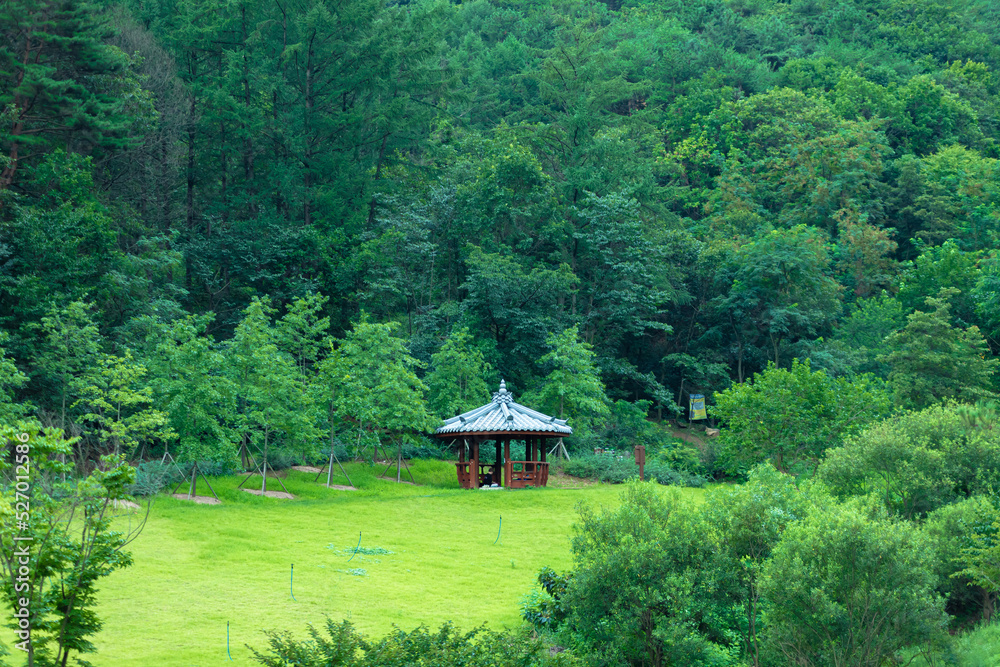 Obraz premium 숲 속 정자