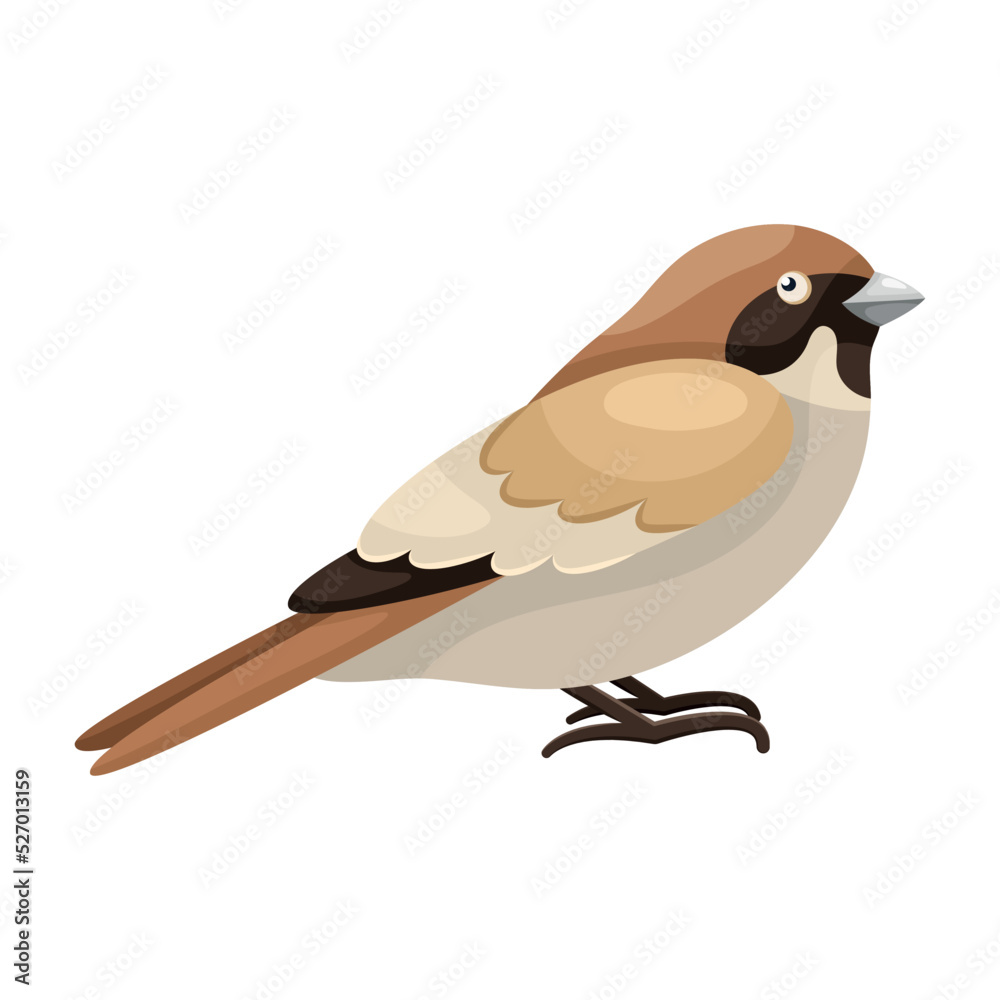 Cartoon sitting sparrow in flat style. Simple clipart for product design,  print for clothes, stickers. Icon with a city bird. Drawing for educational  board games for children. Common European bird. Stock Vector |